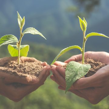 Concept of environmental conservation in the garden for children.